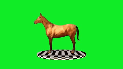 Horse spinning on green background