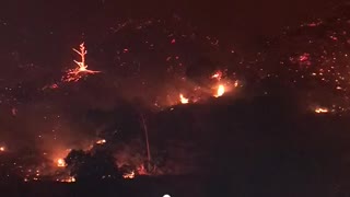 La Tuna Canyon Wildfire Up Close