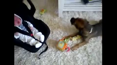 The dog is start weaping when the baby weap