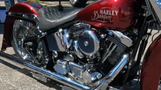 1997 Harley Davidson Softail Motorcycle at the Smoky Mountain Street Dreams Show September 9 2023