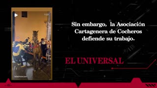 Nuevo desplome de caballo cochero en Cartagena