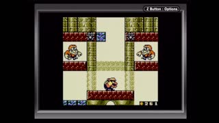 Wario Land II Playthrough (Game Boy Player Capture) - Part 8