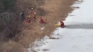 Dog rescued after falling through ice
