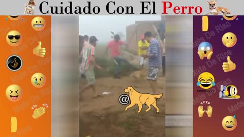 Cuidado con el Perro | Mate de Risa