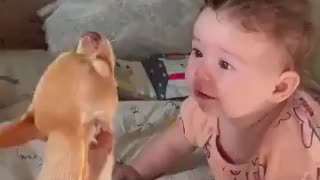 Baby and a Pup Crying/Singing Togther