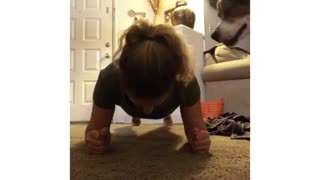 Dog refuses to let owner workout, wants to play instead