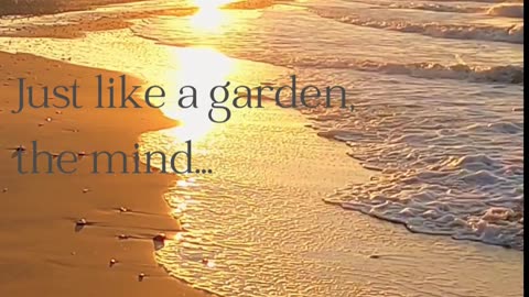 Be like a garden #PositiveThoughts #MotivateYourself #Empowerment