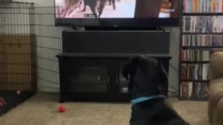 I Love To Watch TV.