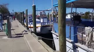 Van Living - Tarpon Springs Sponge Docks