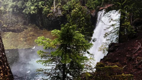 BITE-SIZED WILDS | SIDE PERSPECTIVE OF MIGHTY & POWERFUL KOOSAH FALLS! | Central Oregon | 4K