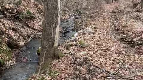 Small Stream