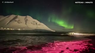 Surfista pega onda sob aurora boreal na Islândia