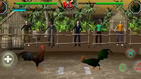 Cockfighting game