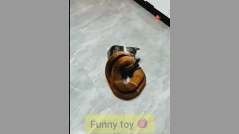 Funny Cats and Dogs 😂 Funny Animal Videos 🥰