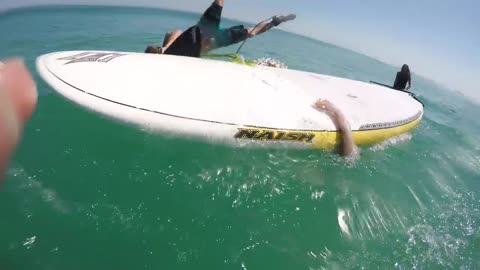 Giant Squid Attacks Surfboard!