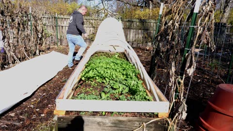 Winterizing Raised Bed