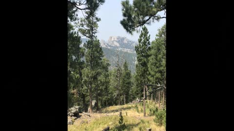 A Day Together In Custer State Park