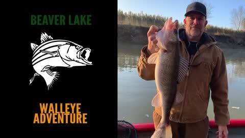 Beaver Lake Walleye Adventure