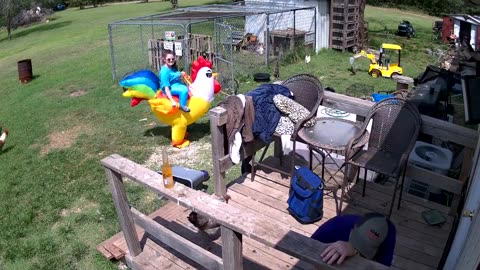 Husband Surprised With Inflatable Chicken Suit