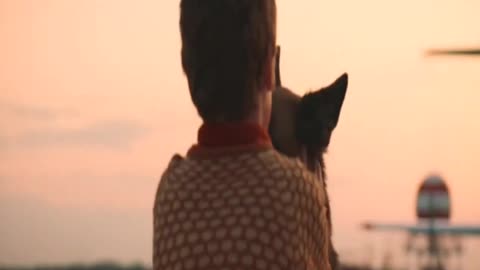 The best movie scene dog love his owner incredible