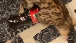 RARI loves coke