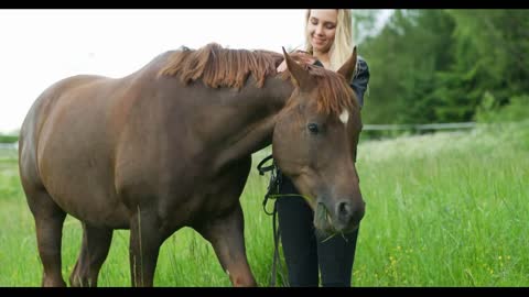 Smiling woman caressing her arabian horse in the field