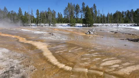 Yellowstone colorful runoff Lower Geyser Basin