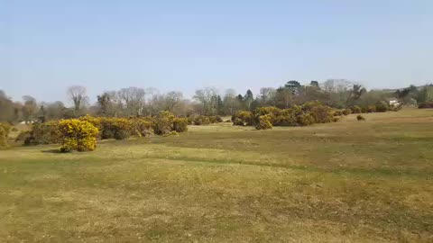 Walking towards wild ponies.