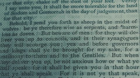 Beneath Sheep's Clothing - James Lindsay, "Wise as Serpents, Gentle as Doves"