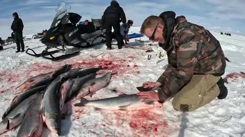 4 Day Fishing + Hunting Catch & Cook in an Inuit Village (Best Ice Fishing in the World)