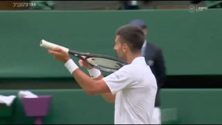 Unvaccinated pure blood Novak Djokovic plays a small imaginary sad violin for his haters