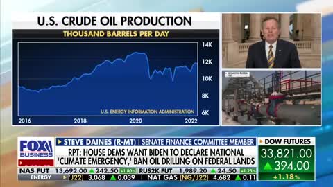 Rep. Steve Daines slams Democrats' dangerous following of climate 'wokeness' amid US energy crisis