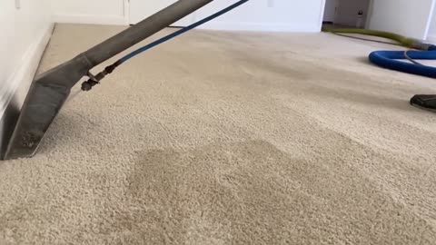 Carpet Cleaning Services in San Diego & Nearby Locations!