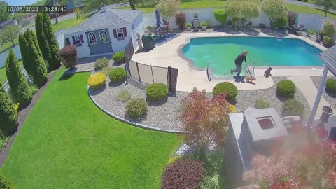 Man jumps into pool to rescue his drowning dog