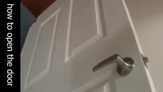 How to open the door