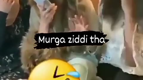 Jiddhi murga