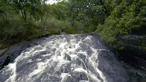 Clear little stream