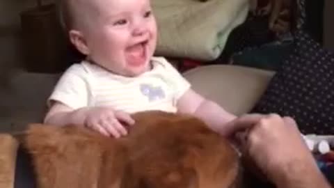 Dog Licks Send Baby Into Uncontrollable Fits Of Laughter