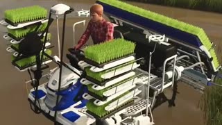 Planting Rice Farming Simulator 25