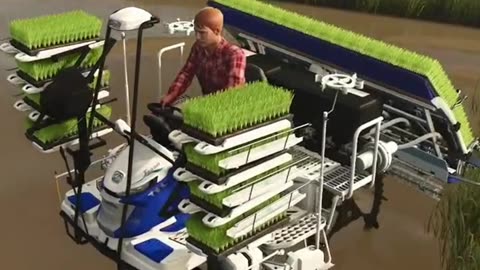 Planting Rice Farming Simulator 25