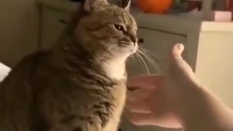 Give me Five!