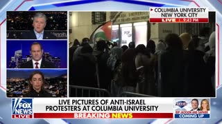 Anti-Israel protests at US universities spur viral backlash from Iranian-born lawyer