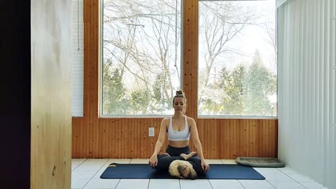 35 MIN Full Body Yoga Stretch For Beginners