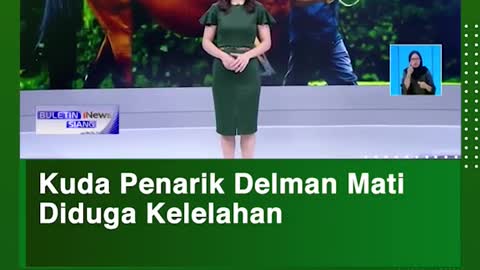 Kuda Penarik Delman Mati Diduga Kelelahan