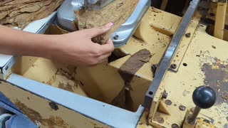 Machine Made Cigars at Tabacalera Palma | Procigar 2024