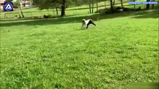 Woman runs and jumps like a horse