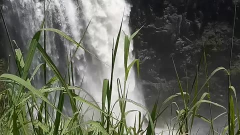 The Magestic Victoria Falls