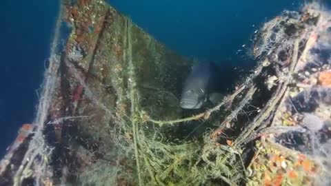 WARSAW GROUPER ON SUBMARINE USS S-16