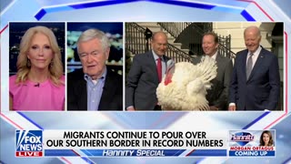 'Working Perfectly': Newt Gingrich Explains Why Democrats' Border Policy Is 'Deliberate'