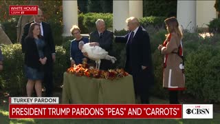 In 2018 President Trump gave a pardon to 'Peas'